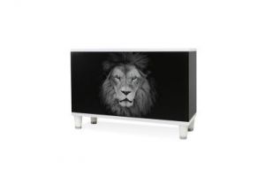 Szafka wielofunkcyjna LION