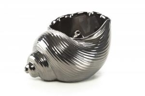 Muszla CHROME