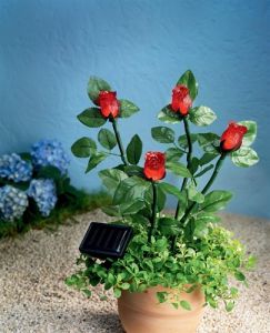 Solarna lampa róże 4 sztuki SOLAR LED