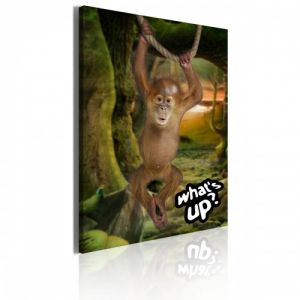 Obraz - Little monkey