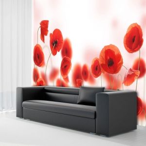 Fototapeta - Sleepy poppy\'s land
