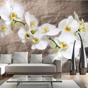 Fototapeta - Nieskazitelność orchidei