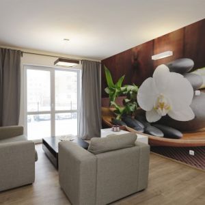 Fototapeta - świątynia zen